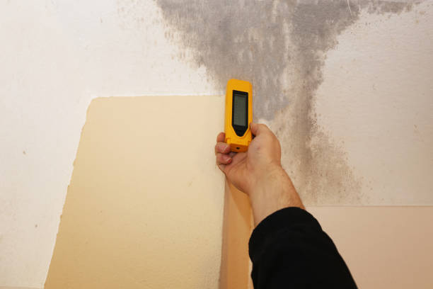 Best Commercial Mold Inspection  in Louisville, KY