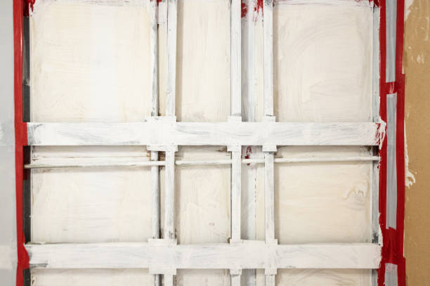 Best Asbestos and Lead Testing During Mold Inspection  in Louisville, KY