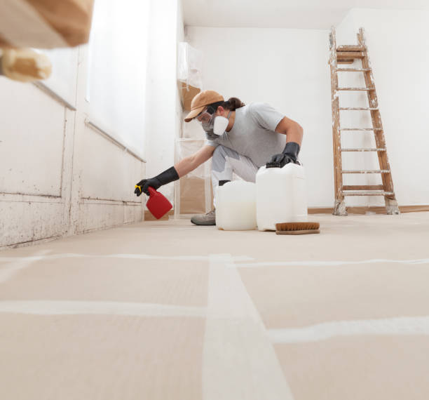 Best Mold Prevention Services  in Louisville, KY